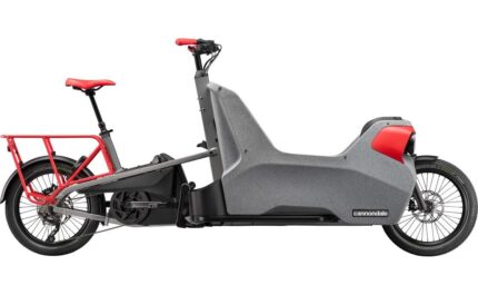 Cannondale Wonderwagen Neo 2 - 545 Wh - 20 Zoll 2025