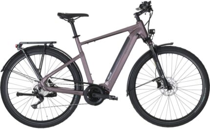 Carver Route E.520 - 625 Wh - 28 Zoll 2026