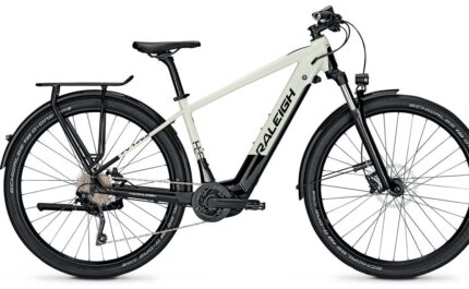 Raleigh Dundee 10 - 500 Wh - 29 Zoll - Diamant - Aktion